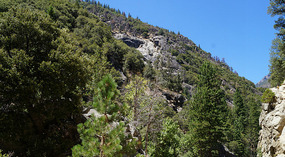 Kings Canyon27