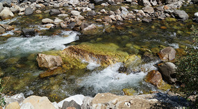 Kings Canyon33