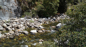 Kings Canyon34
