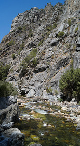 Kings Canyon35