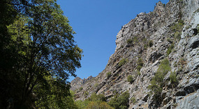 Kings Canyon37