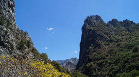 Kings Canyon40
