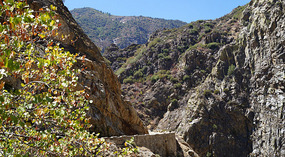 Kings Canyon46