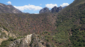 Kings Canyon50