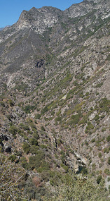 Kings Canyon54