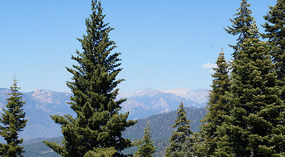 Kings Canyon59