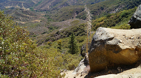 Kings Canyon7