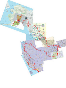 mit California 11