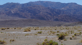 Death Valley NP21