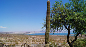 Visitor Center Lake Mead3