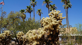 Visitor Center Lake Mead7