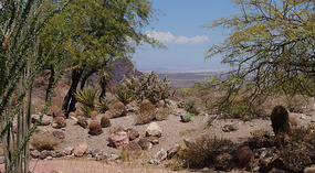 Visitor Center Lake Mead1