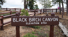 Bryce Canyon25