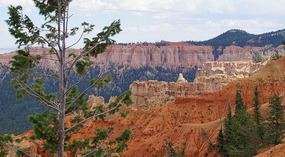 Bryce Canyon37
