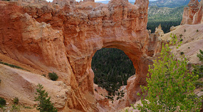 Bryce Canyon38