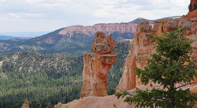 Bryce Canyon40