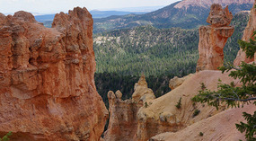 Bryce Canyon41