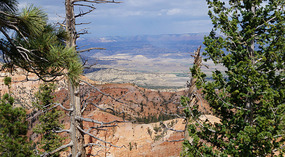 Bryce Canyon50