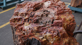 Bryce Canyon65
