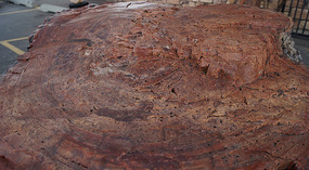 Bryce Canyon66