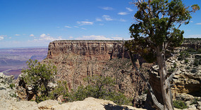 Grand Canyon20