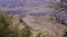 Grand Canyon29