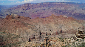 Grand Canyon4