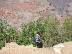 Grand Canyon43