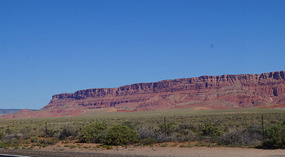 Tal8