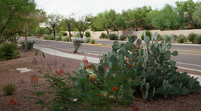 Odo Valley6