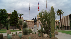 Phoenix12