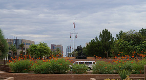 Phoenix13