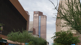 Phoenix3
