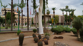 Phoenix9