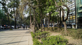 Mexico3