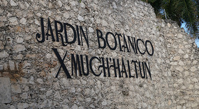 Botanical Garden10