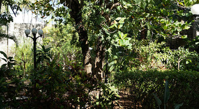 Botanical Garden5