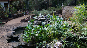 Botanical Garden8