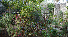 Botanical Garden9