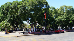 Merida12