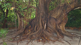 Cancun11
