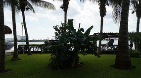Cancun1