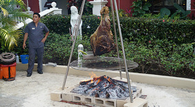 Sandos Caracol14
