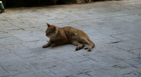 Sandos Caracol4