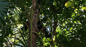 Sandos Caracol17