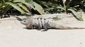 Tulum30