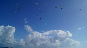 Strand4