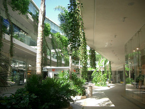 Playa del Carmen1