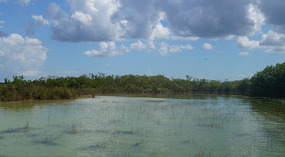 Bacalar4