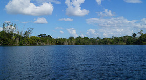 Cenote de Azul7